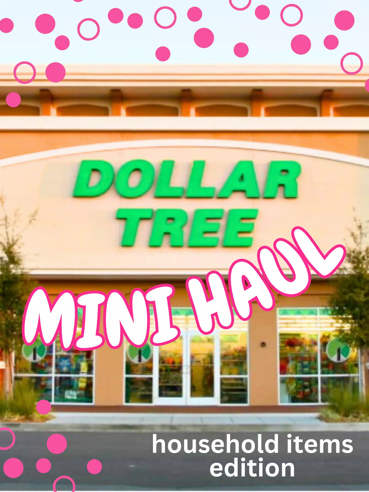 Household Dollar Tree Items