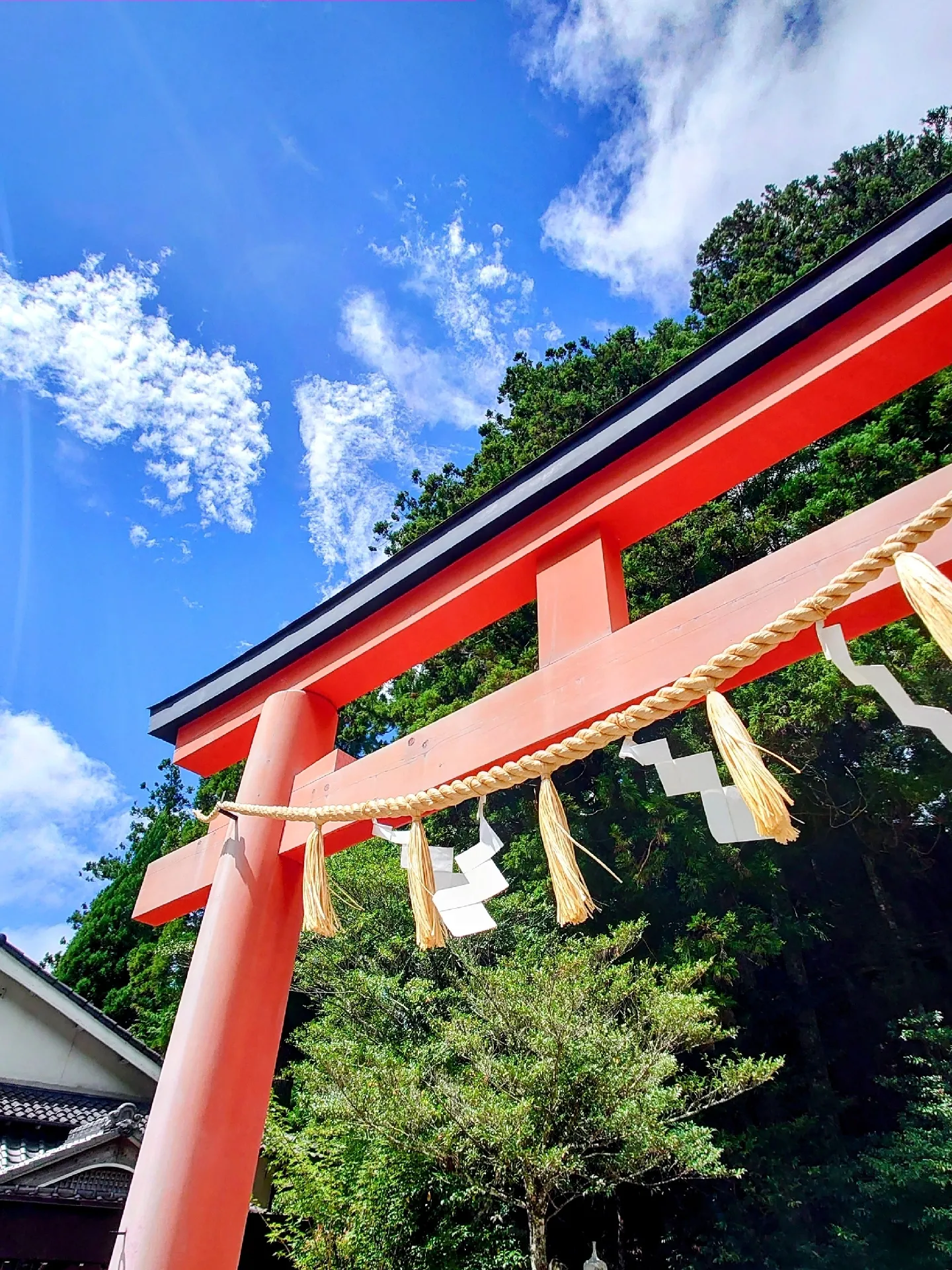 華やか✨で雅✨な社殿⛩️ 天河大弁財天社 | Kohacoo癒しの時間が投稿したフォトブック | Lemon8