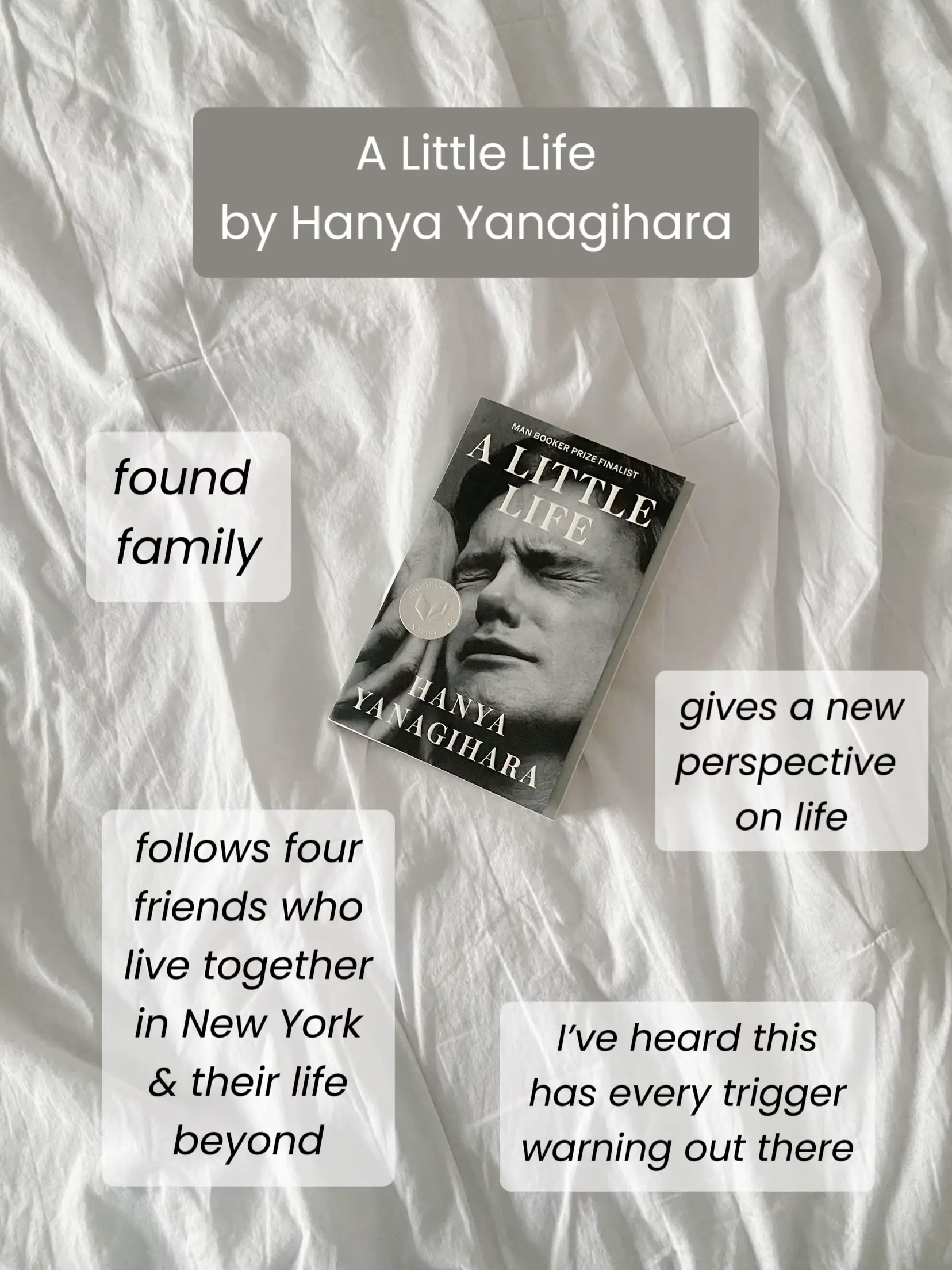 the earth took me back so tenderly — A Little Life by Hanya Yanagihara