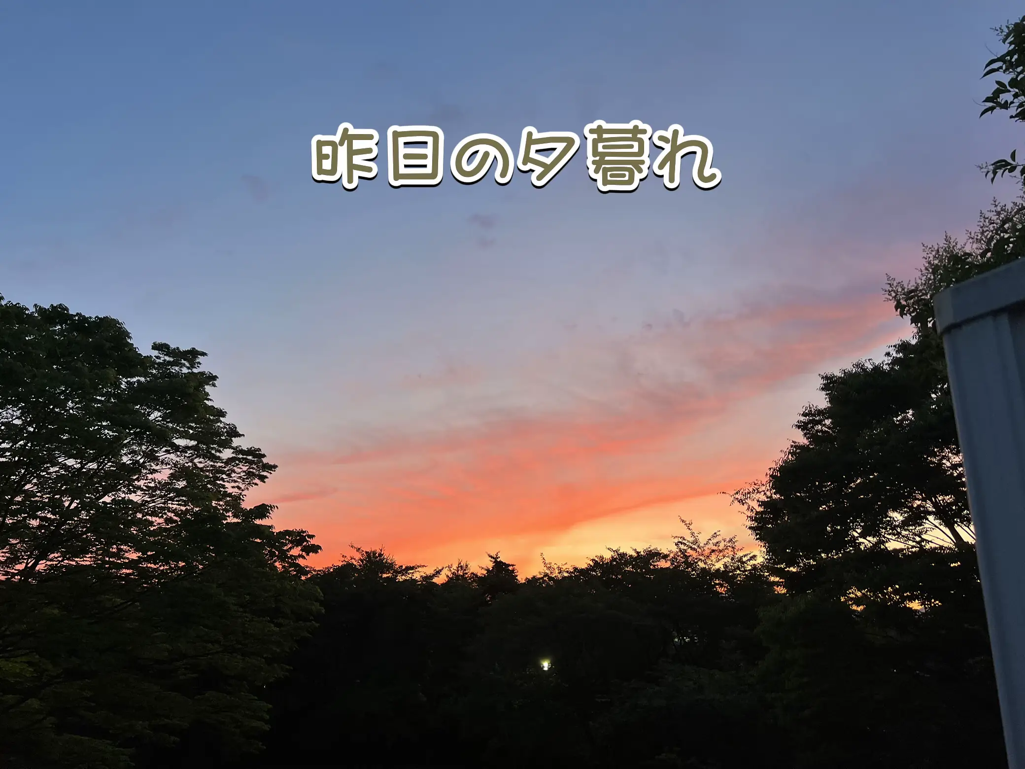 👏昨日の夕暮れ🌄 | めかぶが投稿したフォトブック | Lemon8