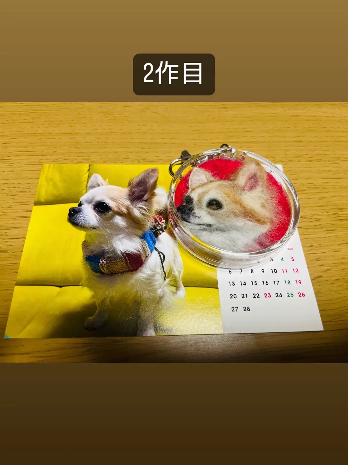 我が家の愛犬(14歳♀)が使い古したクッション。 まぶし 