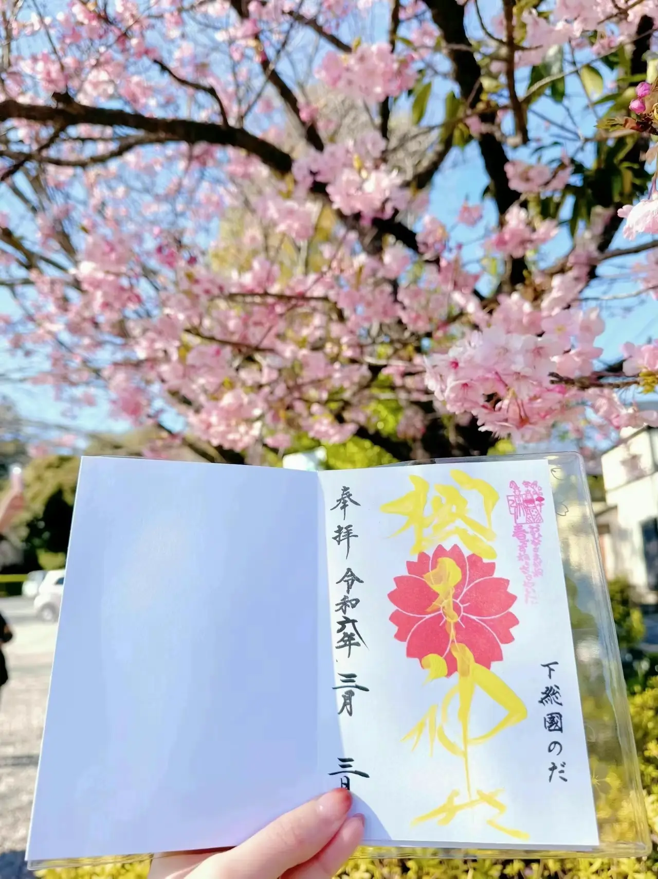 ✼千葉✼御朱印巡り❁⃘*.ﾟ春限定御朱印帳がかわいい  一年中桜に包まれる神社🌸 | chim  ‪コスパ旅が投稿したフォトブック | Lemon8‬