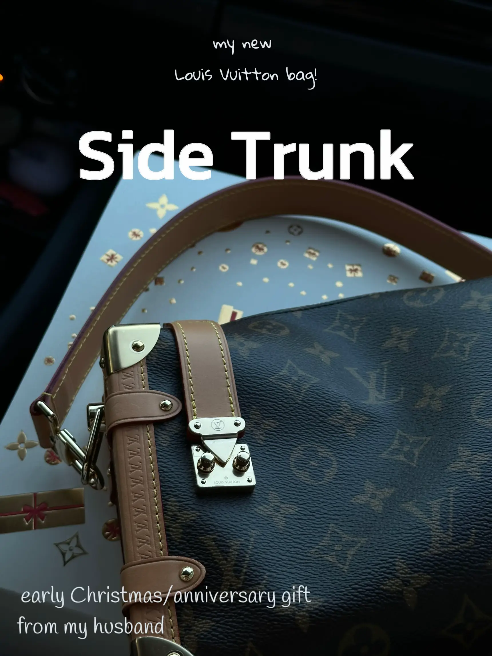Side Trunk MM Other Monogram Canvas - Women - Handbags