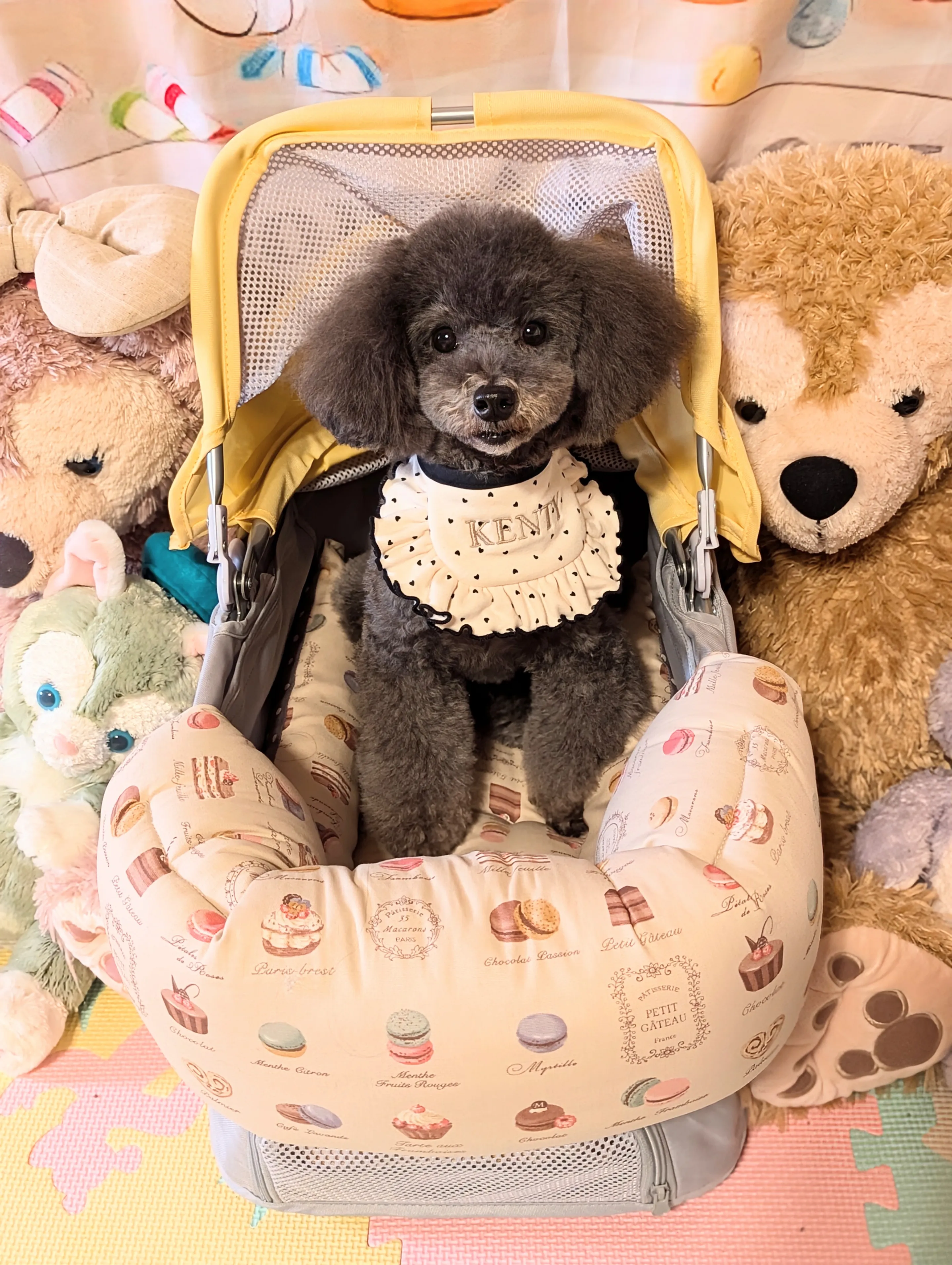 格安 ペット用品 カートクッション あごのせ らおちゃん様専用 ペットカート