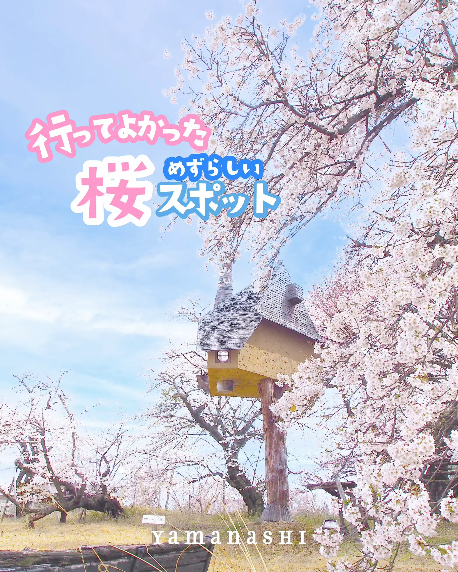 行ってよかった桜スポット【山梨】めずらしい桜とツリーハウス🌲🏠 | まやtrip🌼季節を味わう旅が投稿したフォトブック | Lemon8