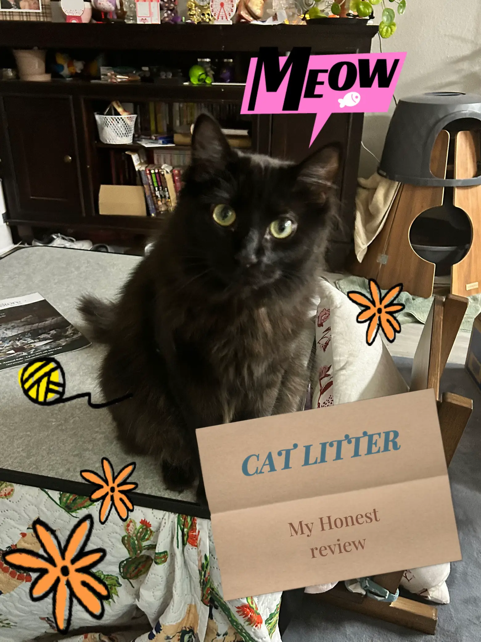 My honest cat litter review Gallery posted by Skootie Lemon8