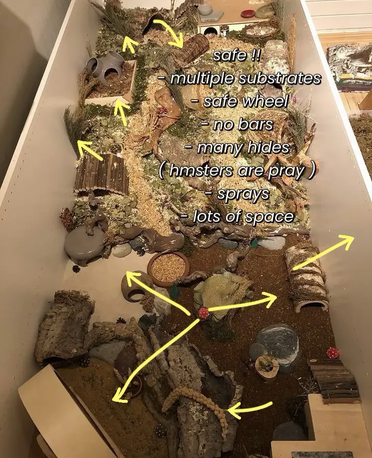 unsafe & safe hamster cages!! 🐹⭐️ Gallery posted by zoeynhamsters