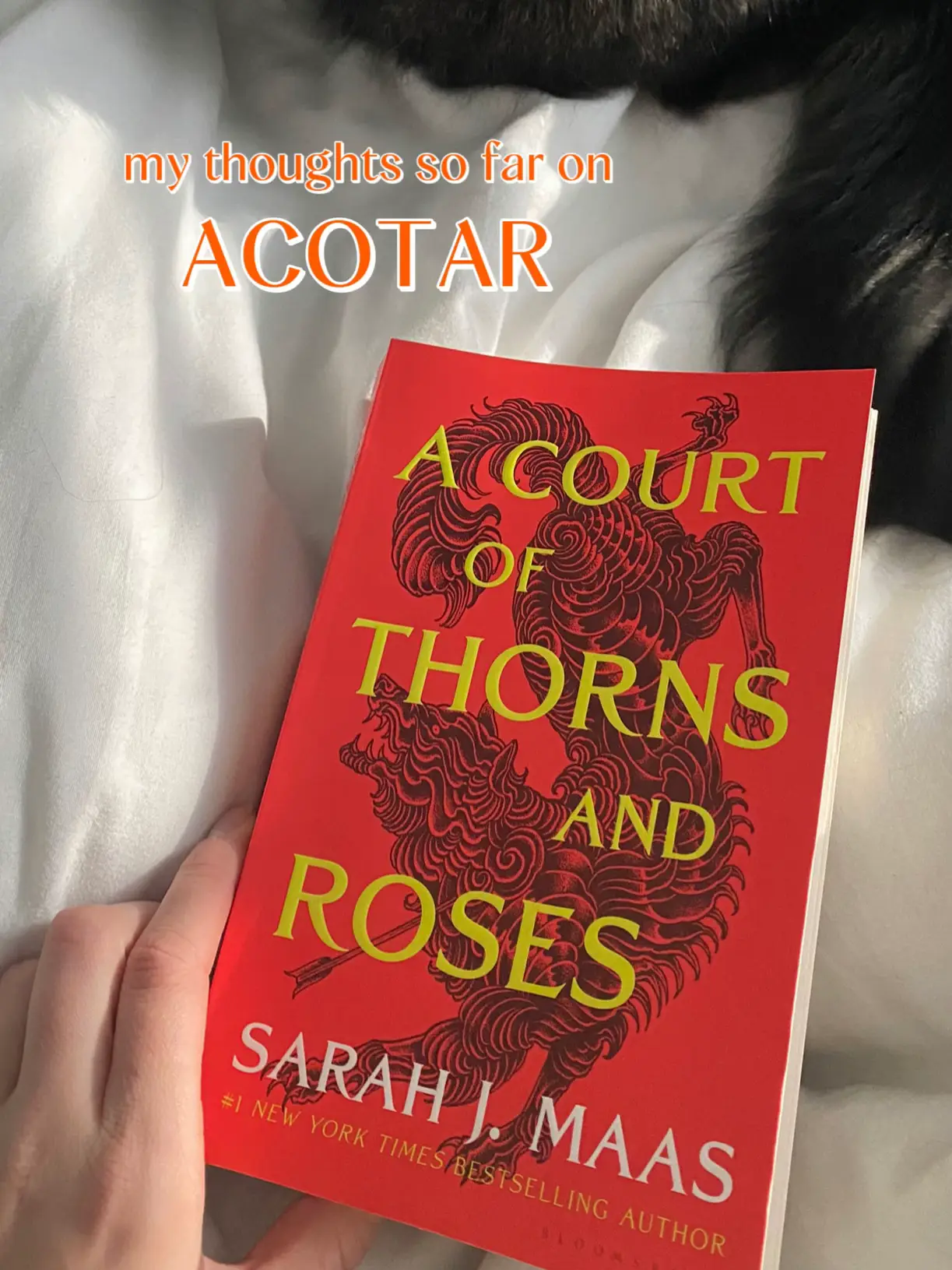 ACOTAR ✨ | Gallery posted by rin 🌿💚 | Lemon8