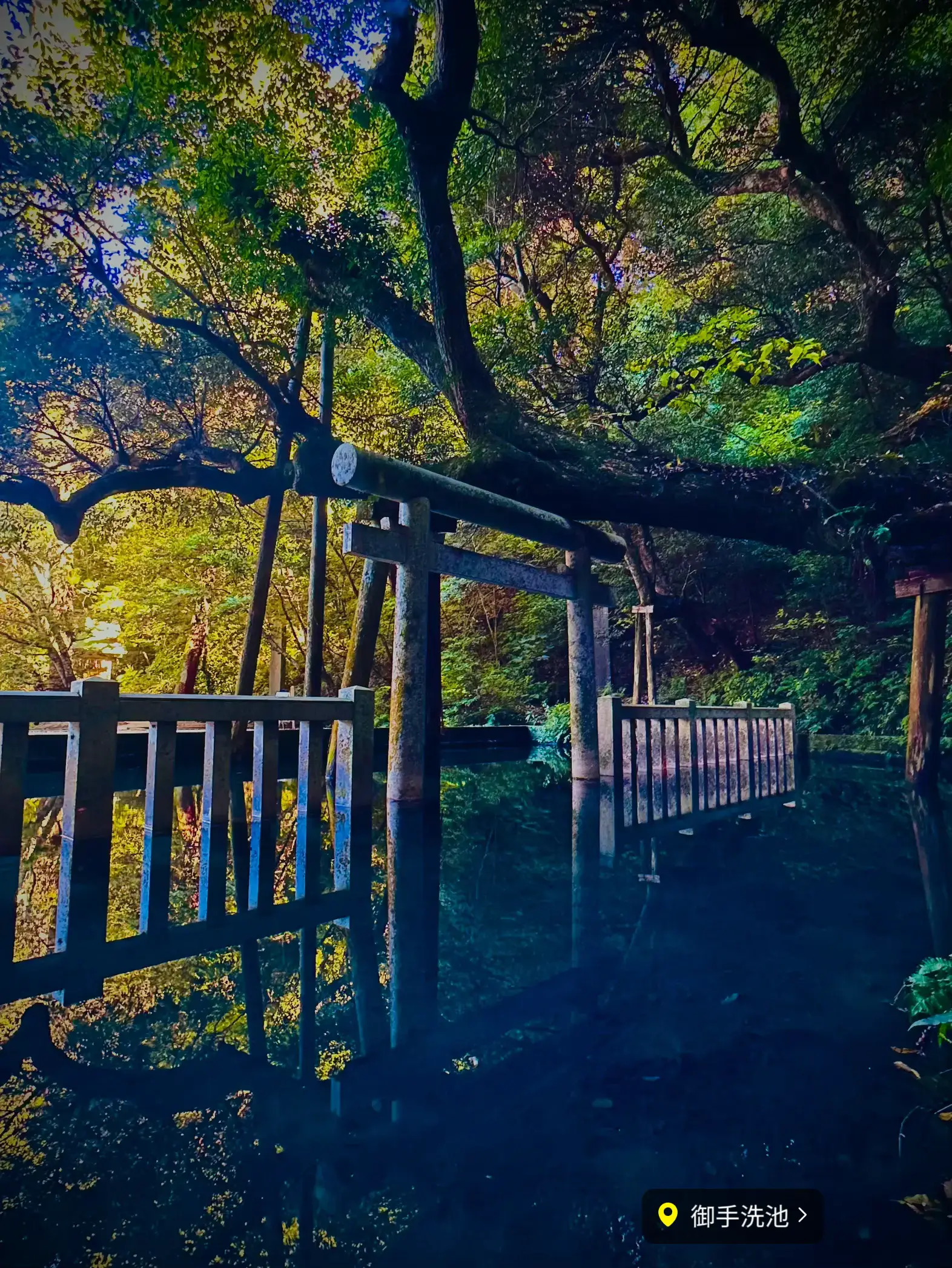 湧き出る御神水の透明度は必見！東国最強パワスポ神宮の魅力が桁違い✨✨✨ | garapagos絶景旅行提案が投稿したフォトブック | Lemon8