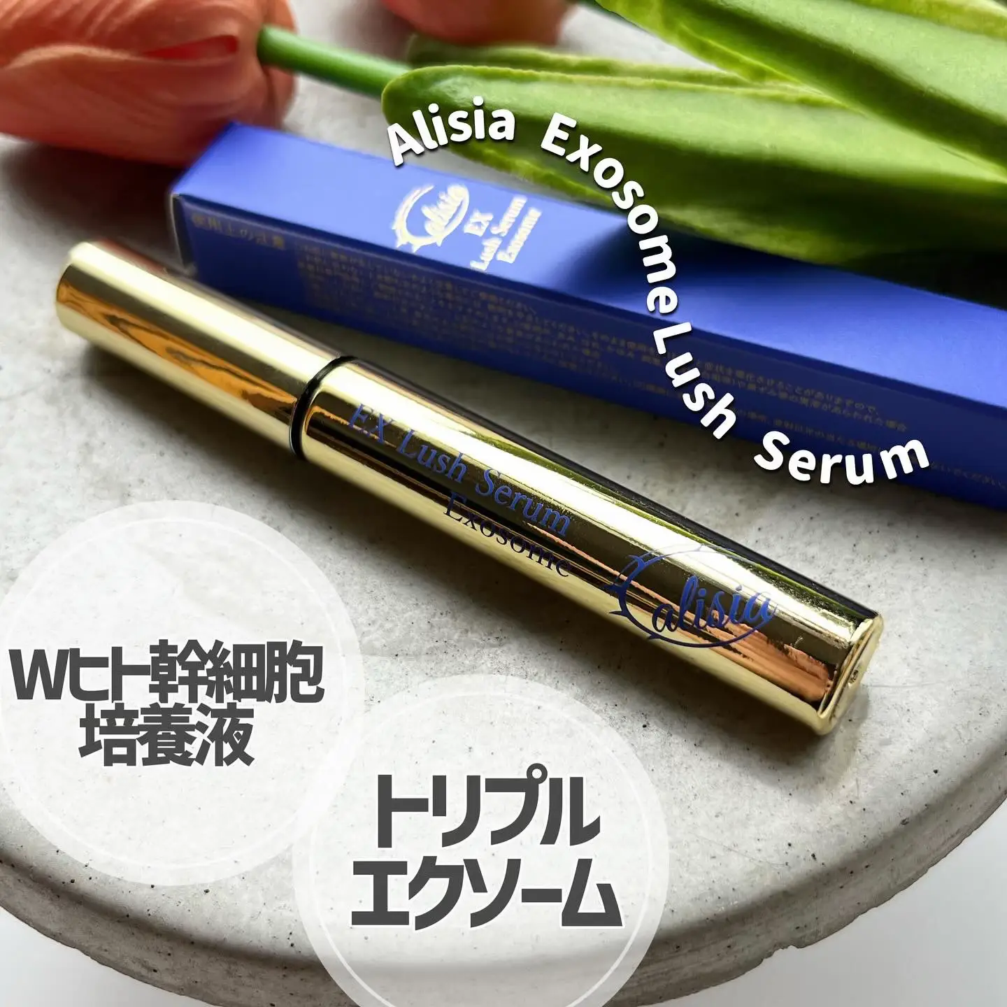 純度100% ヒト臍帯血幹培養上清液 ベビースキン サイトカイン エクソソーム 幹細胞培養上清液とは】 ヒト由来の幹細胞を培養・増殖する過程