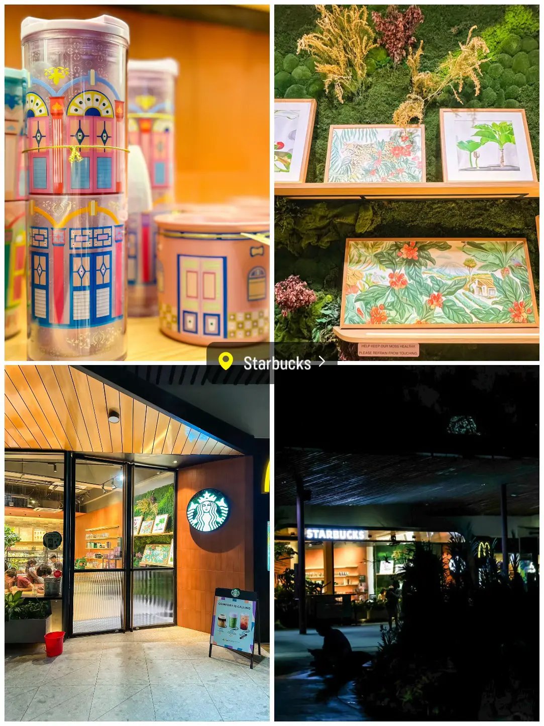 Starbucks特集】プラナカンの街並み限定グッズが可愛い！4店舗紹介🇸🇬 | お出かけちろりっぷが投稿したフォトブック | Lemon8