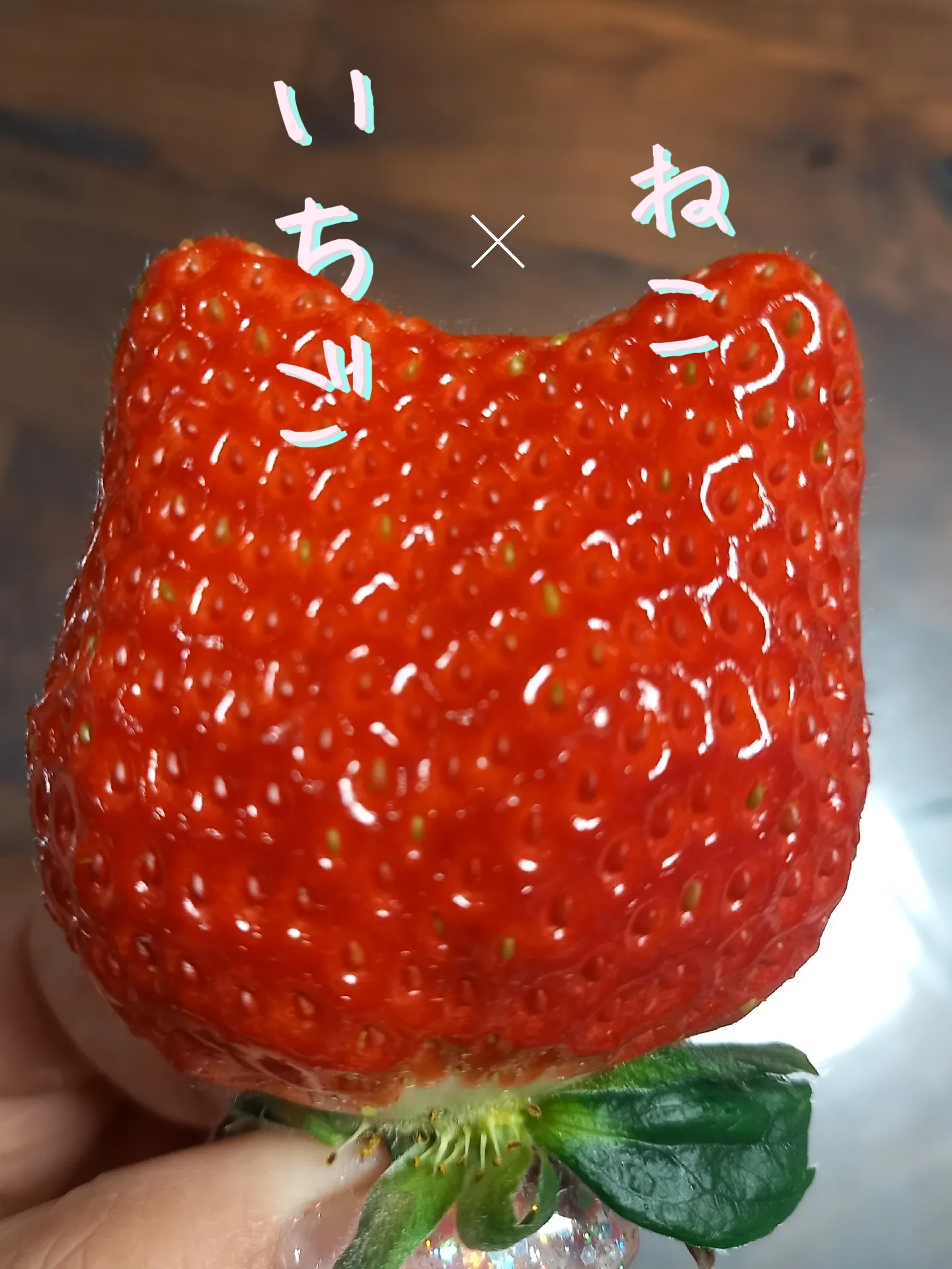 いちご ねこちゃん?? | Pinkプリンが投稿したフォトブック | Lemon8