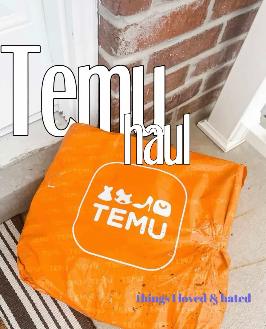 A Bag for Every Occasion @temu Haul