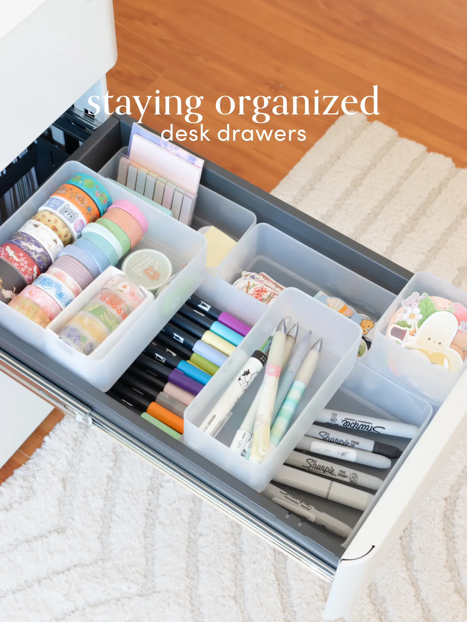 Organizing My Huge Pen Collection - Rae's Daily Page