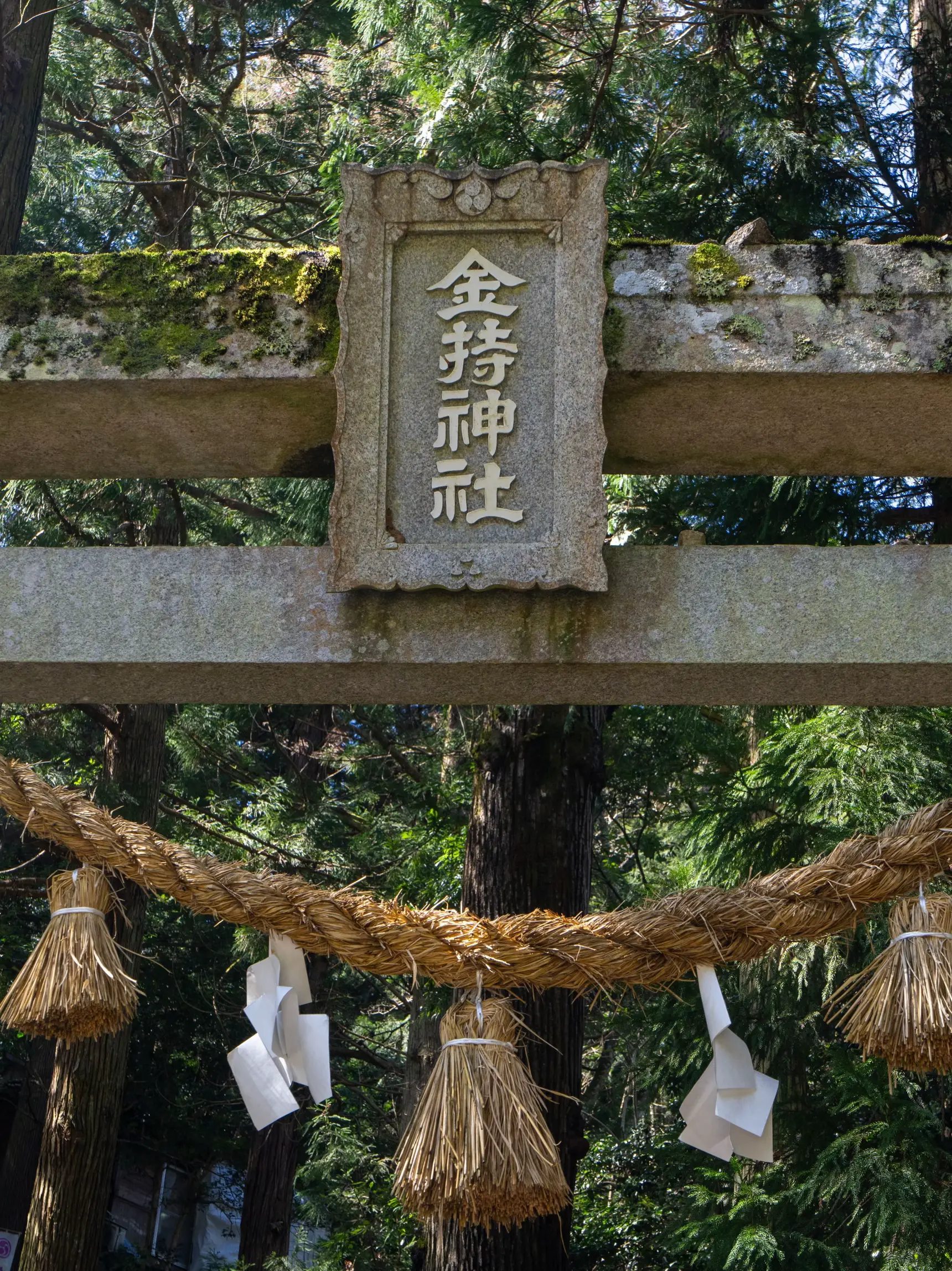 2024年の京都 観光御金神社のアイデア20選