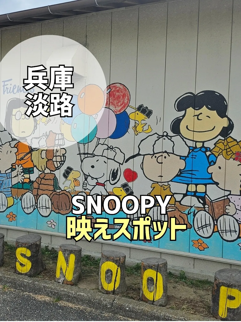 You can also shoot dogs🐶💗 Video published by りんまま🌈関西子連れおでかけ Lemon8