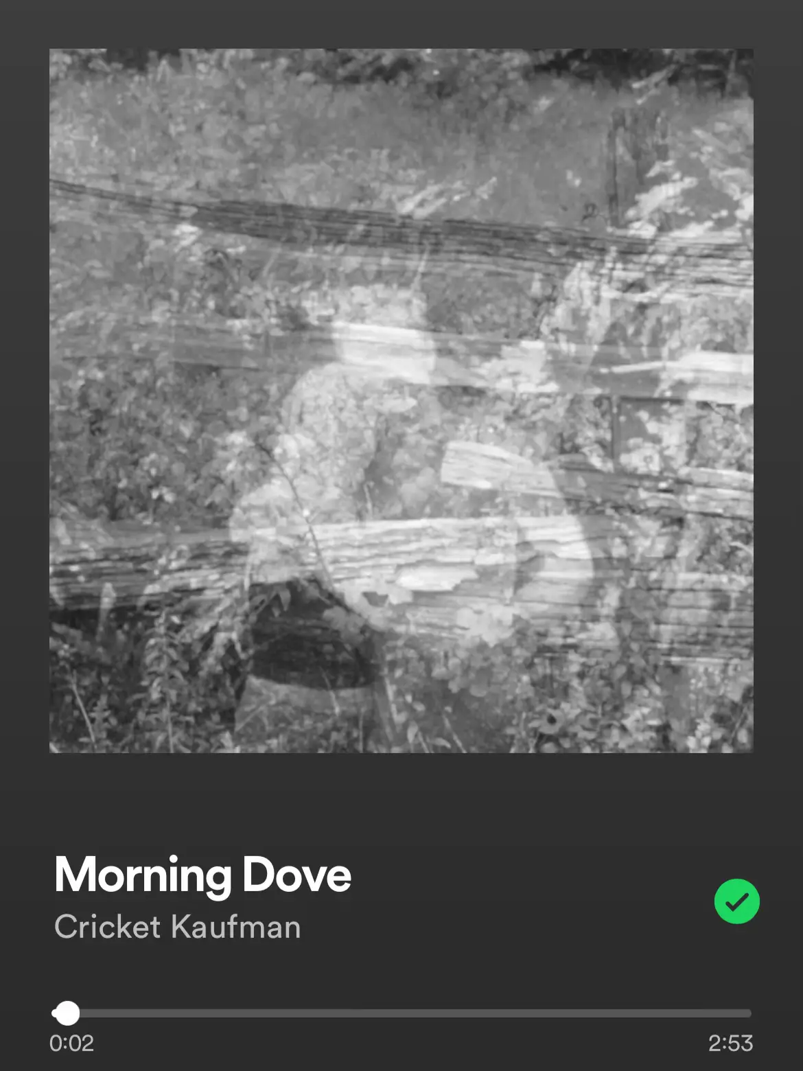 Playlist Gallery posted by Dani rose Lemon8