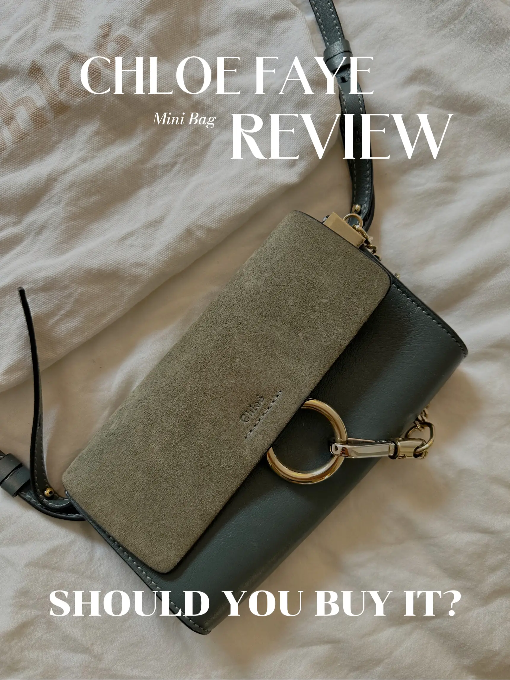 ONE YEAR LATER, Chloe Faye Review, Preowned