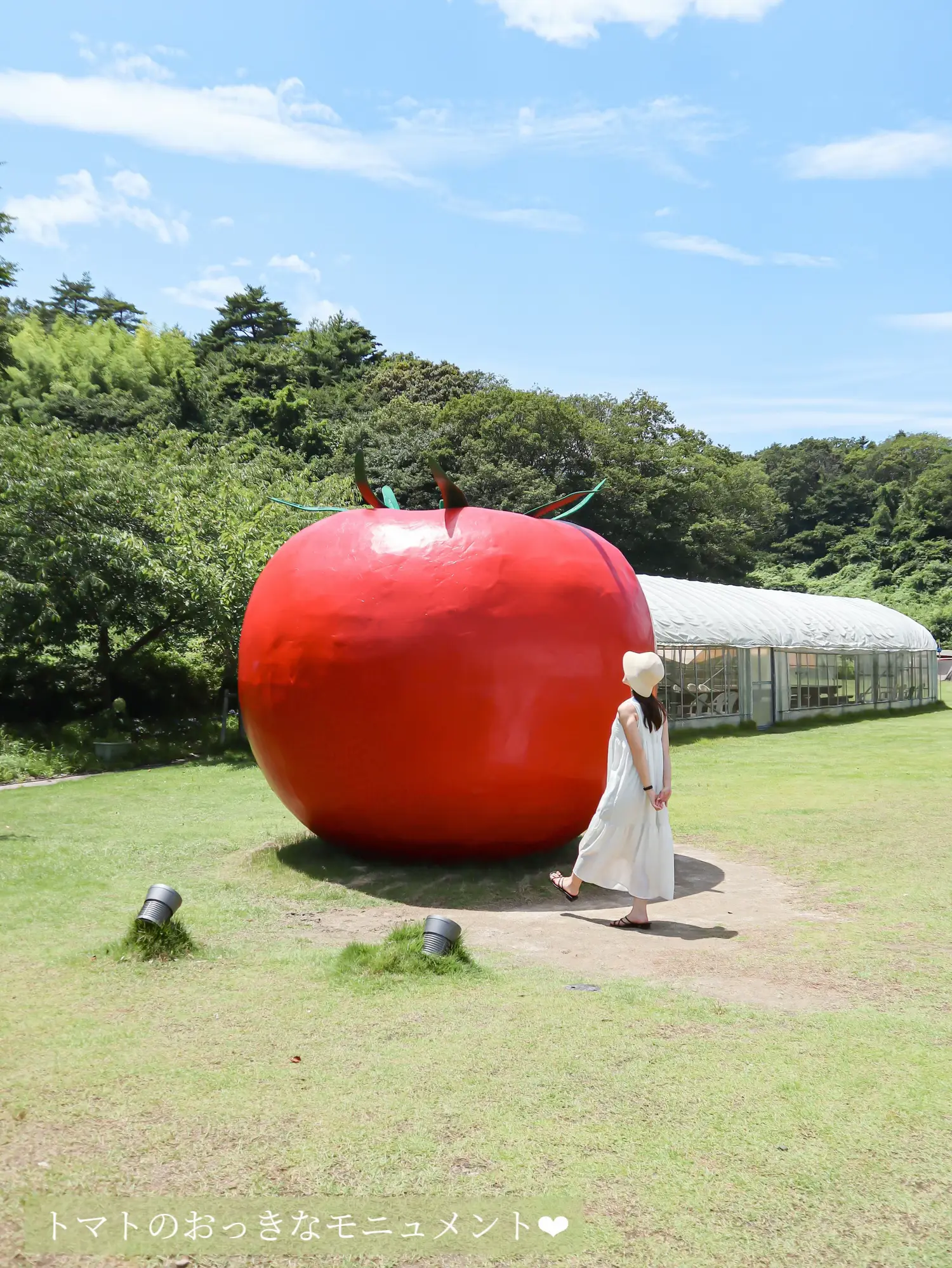 トマト様ご専用୨୧⋆* 惜しかっ