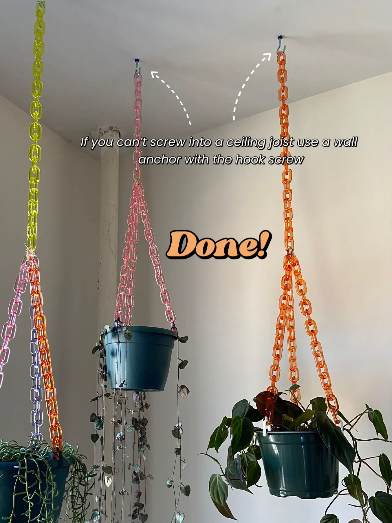 How do y'all water your hanging plants with all these vines? :  r/HangingPlants