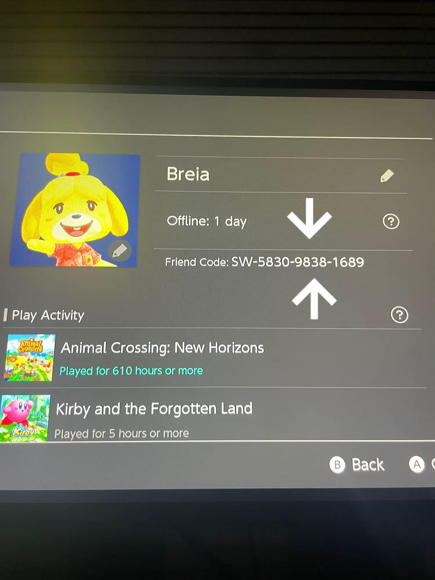 Nintendo friend sale code animal crossing