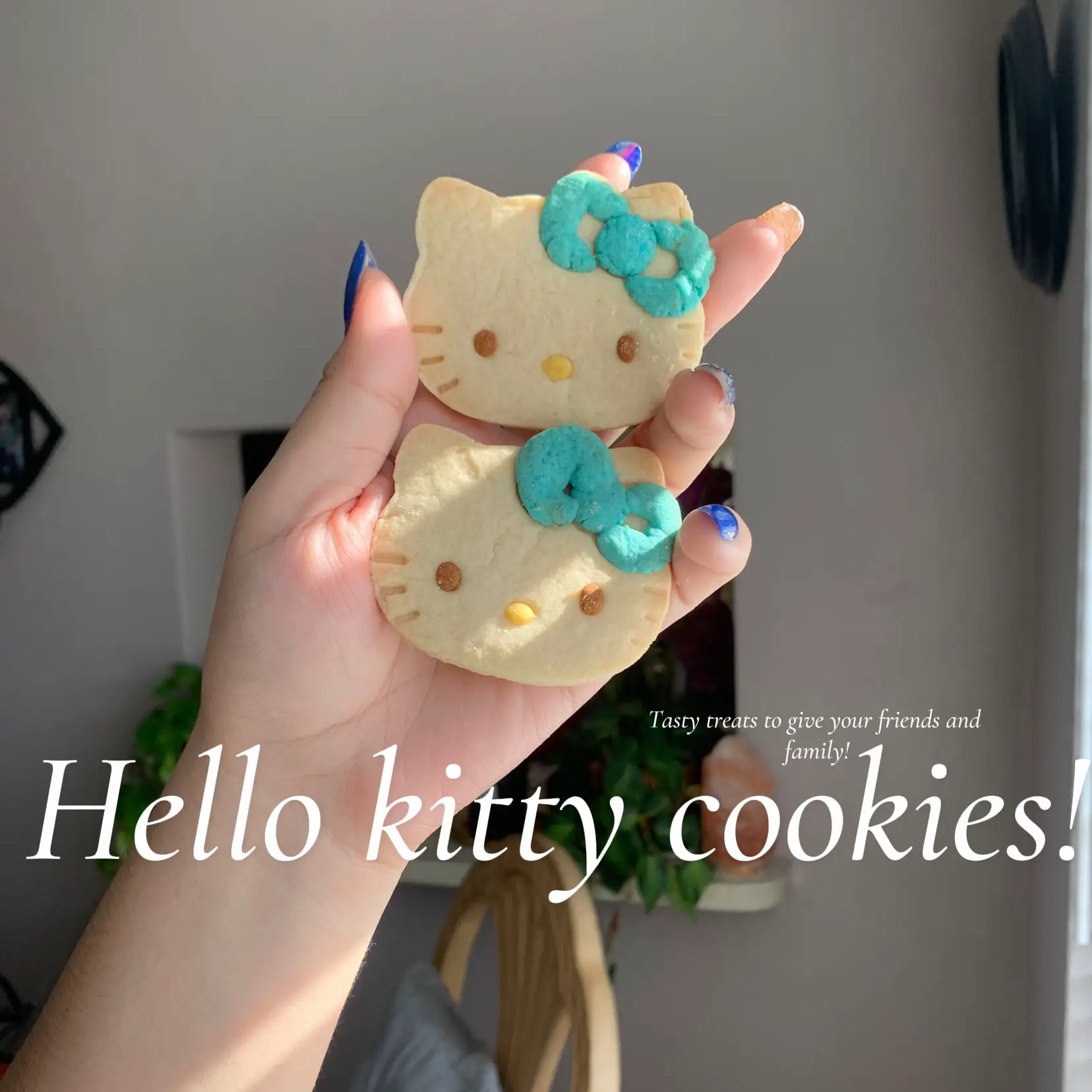 Plush Toy Decorated Biscuits - Lemon8 Search