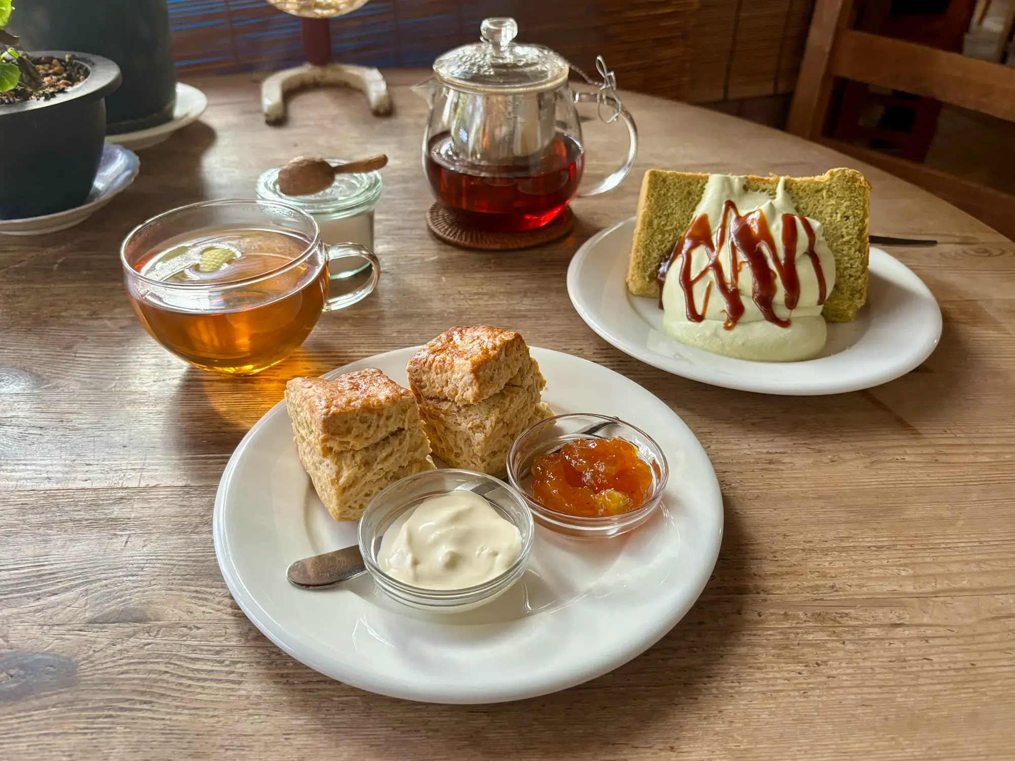 静岡]住宅街の奥に佇むティールーム☕️癖強なお店 笑 | 카나 kanaが