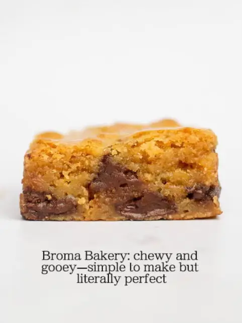 1 hour Chocolate Cinnamon Rolls - Broma Bakery