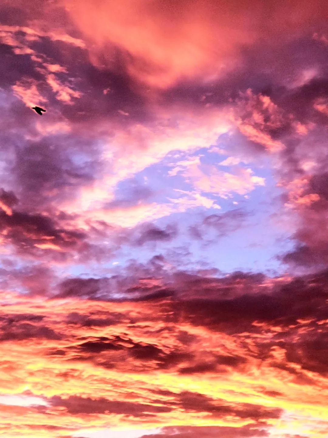 パステル画（原画）夕暮れの街。 パステル画（原画）夕暮れの街。 （夕暮れの空は夕焼けの典型的