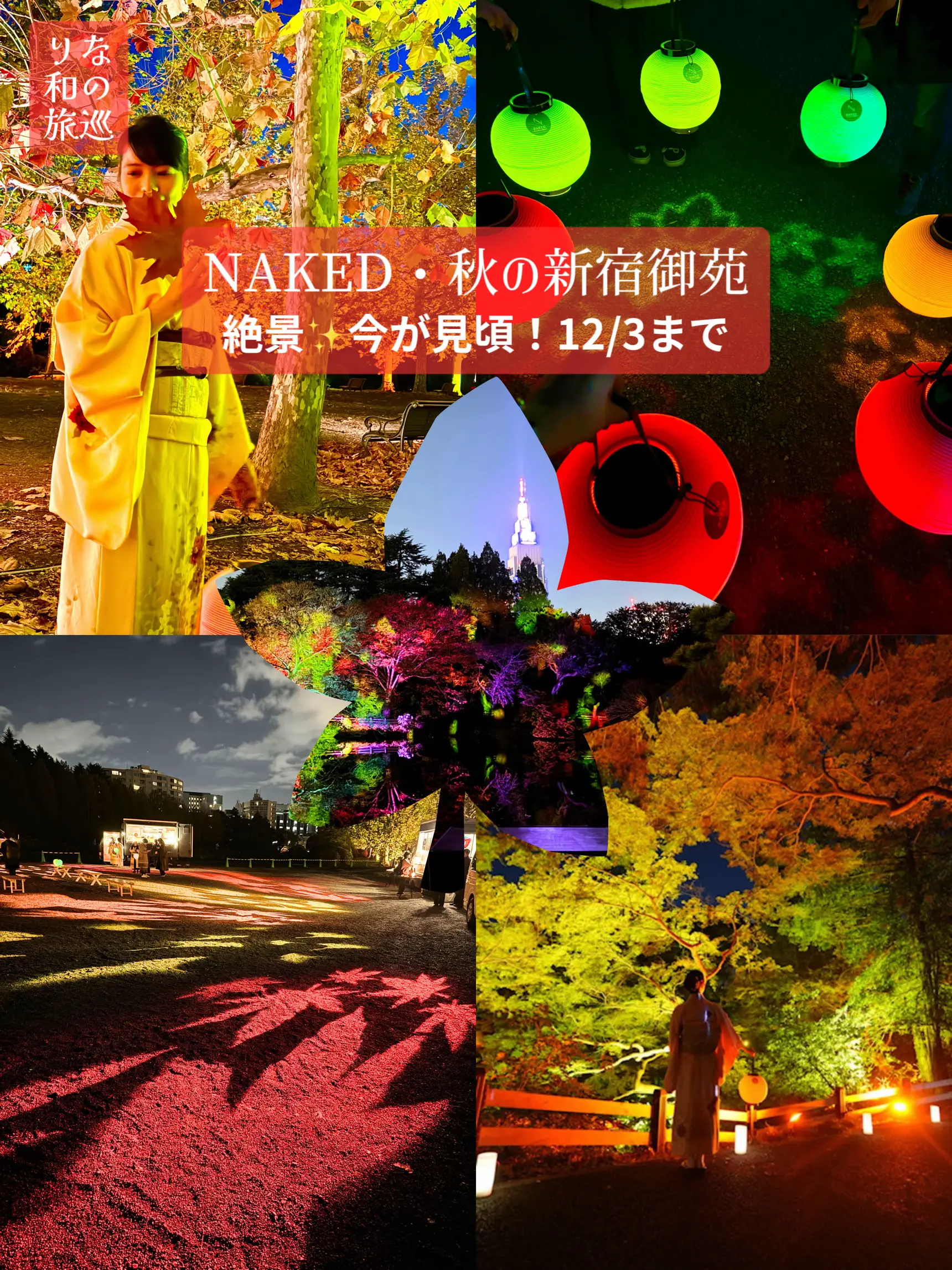 東京都見なきゃ損急いで行こう12 3までNAKED秋の新宿御苑 りな 和の旅巡りが投稿したフォトブック Lemon8