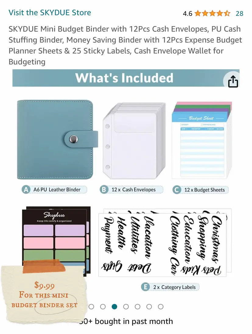10 Pieces Cash Envelope Labels Stickers ,Budget Money Labels Stickers for  A6 Binder Budget Planners Cash