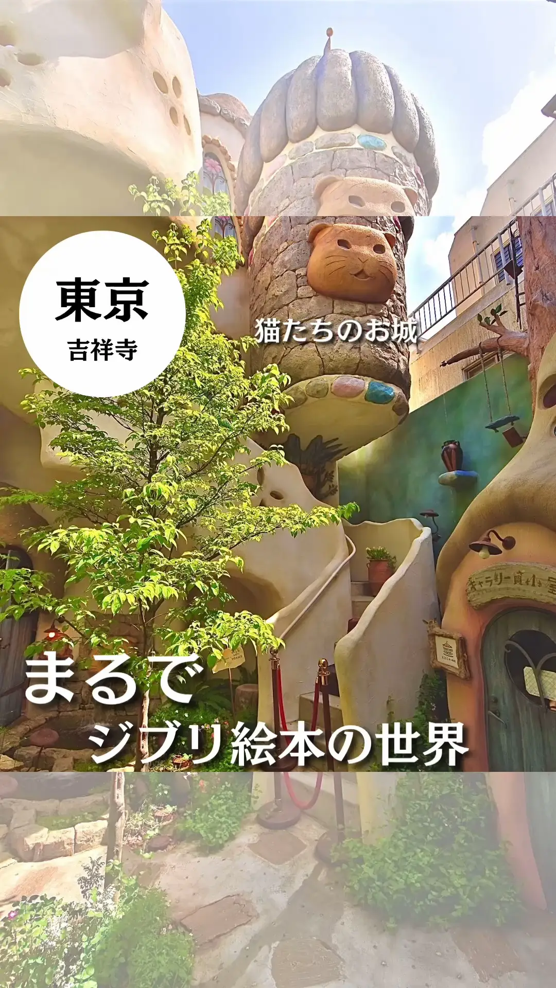 吉祥寺】かわいい📕絵本の中に引き込まれた‼️ | しん｜ぼっちの東京おでかけ記録の投稿動画 | Lemon8