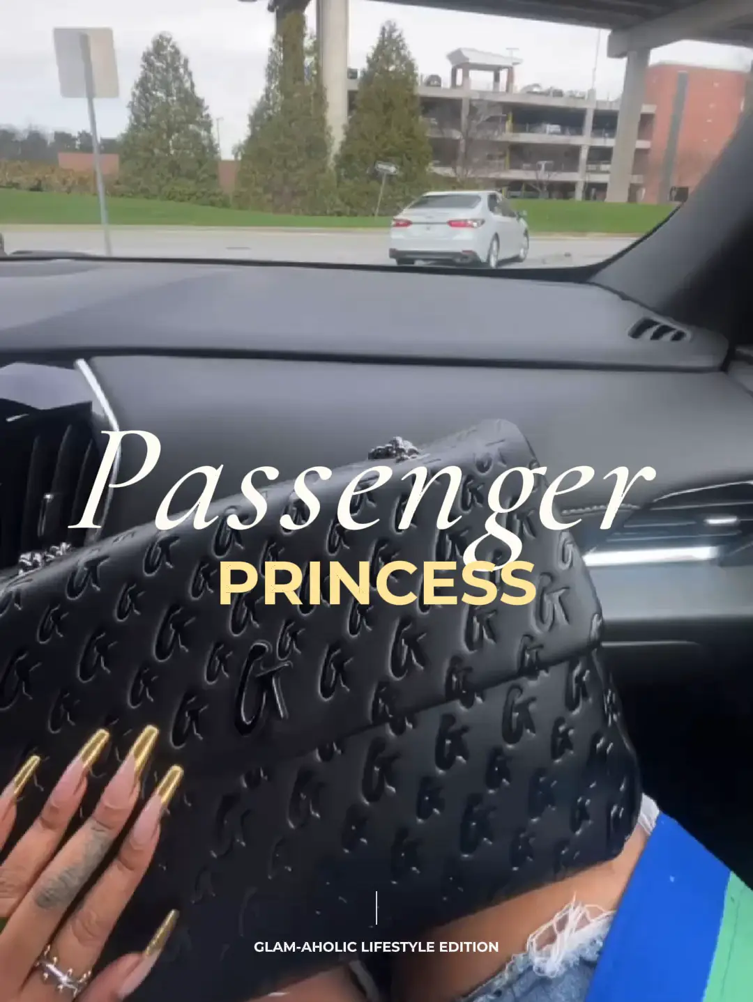 Life Of A Passenger Princess 's images