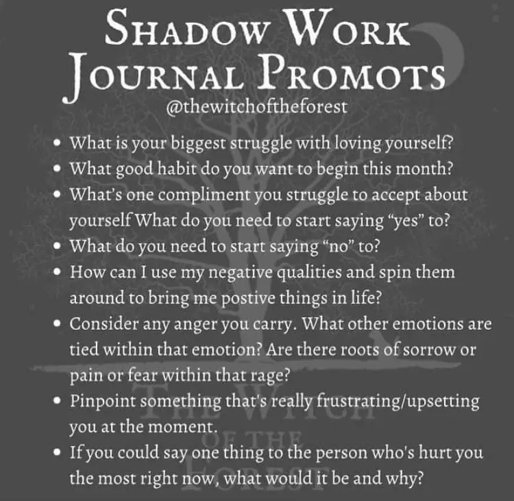 Shadow work journal - Lemon8 Search