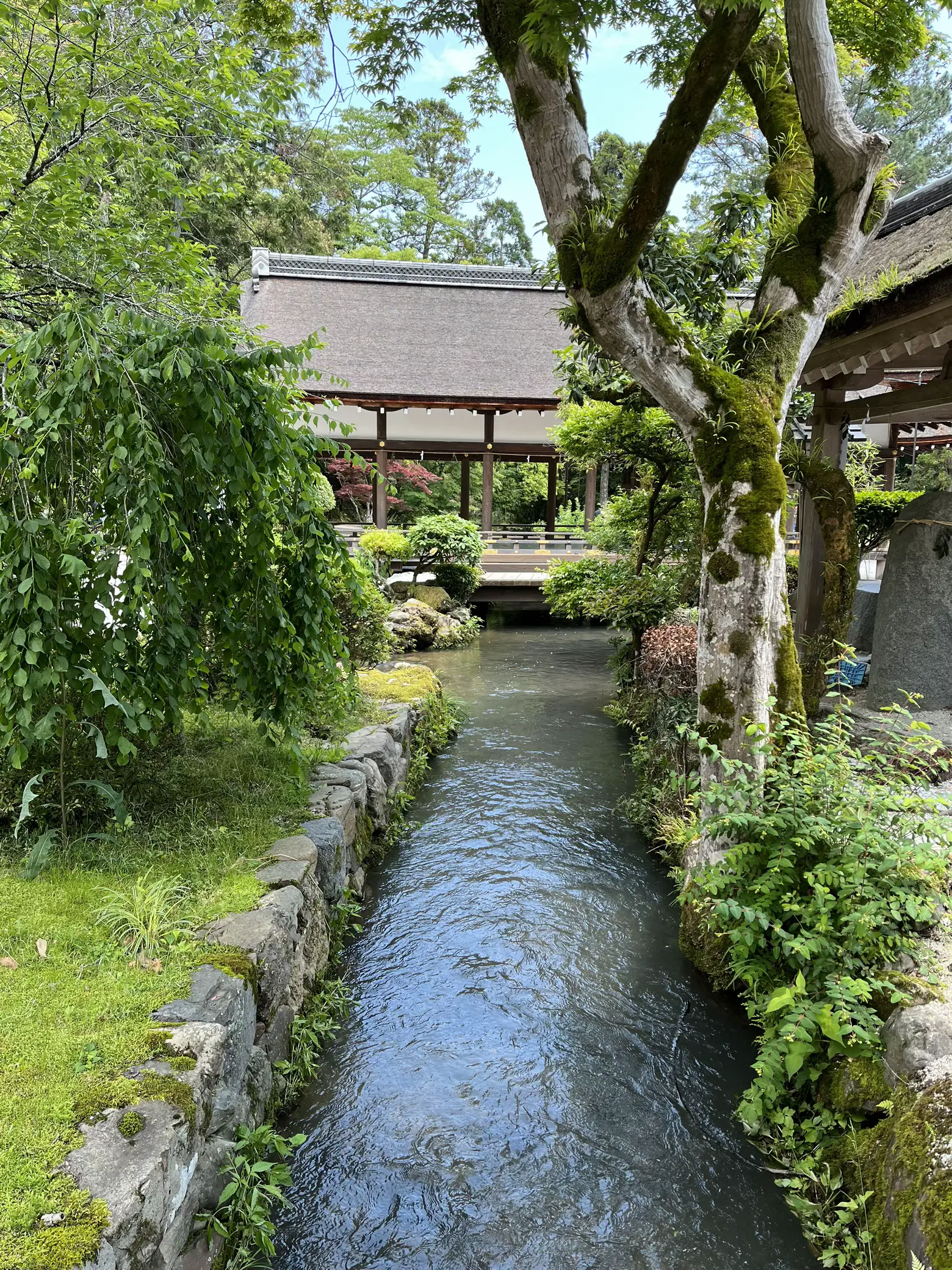 上賀茂神社（賀茂別雷神社） | おかよさんが投稿したフォトブック | Lemon8