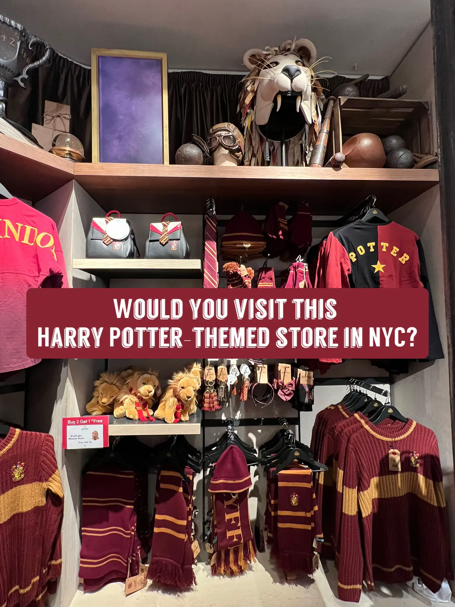 Harry Potter Store in New York - Lemon8 Search