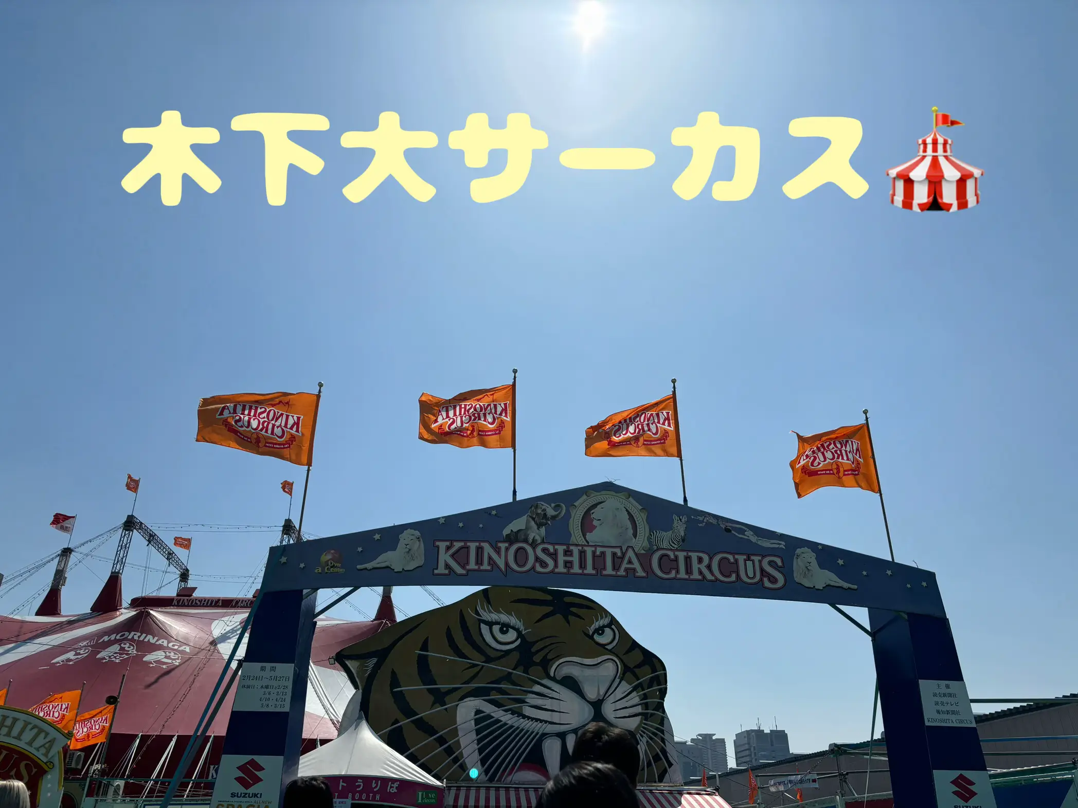 ２枚 ペア 幕張新都心 木下大サーカス ゆすぐ 前期平日御招待券