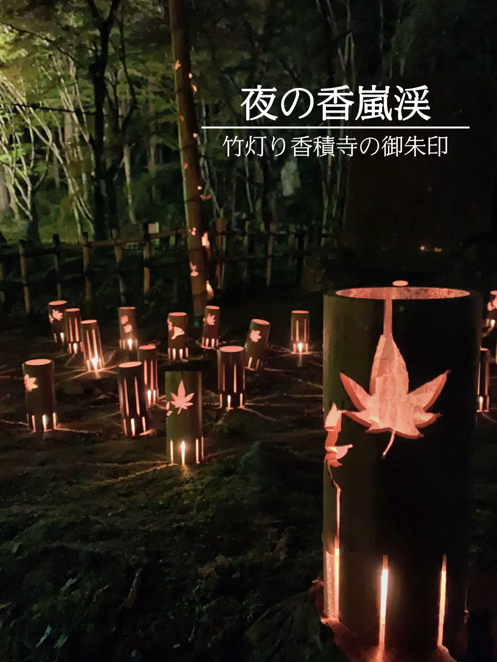 幻想的な夜の香嵐渓紅葉まつり | YOSSYが投稿したフォトブック | Lemon8