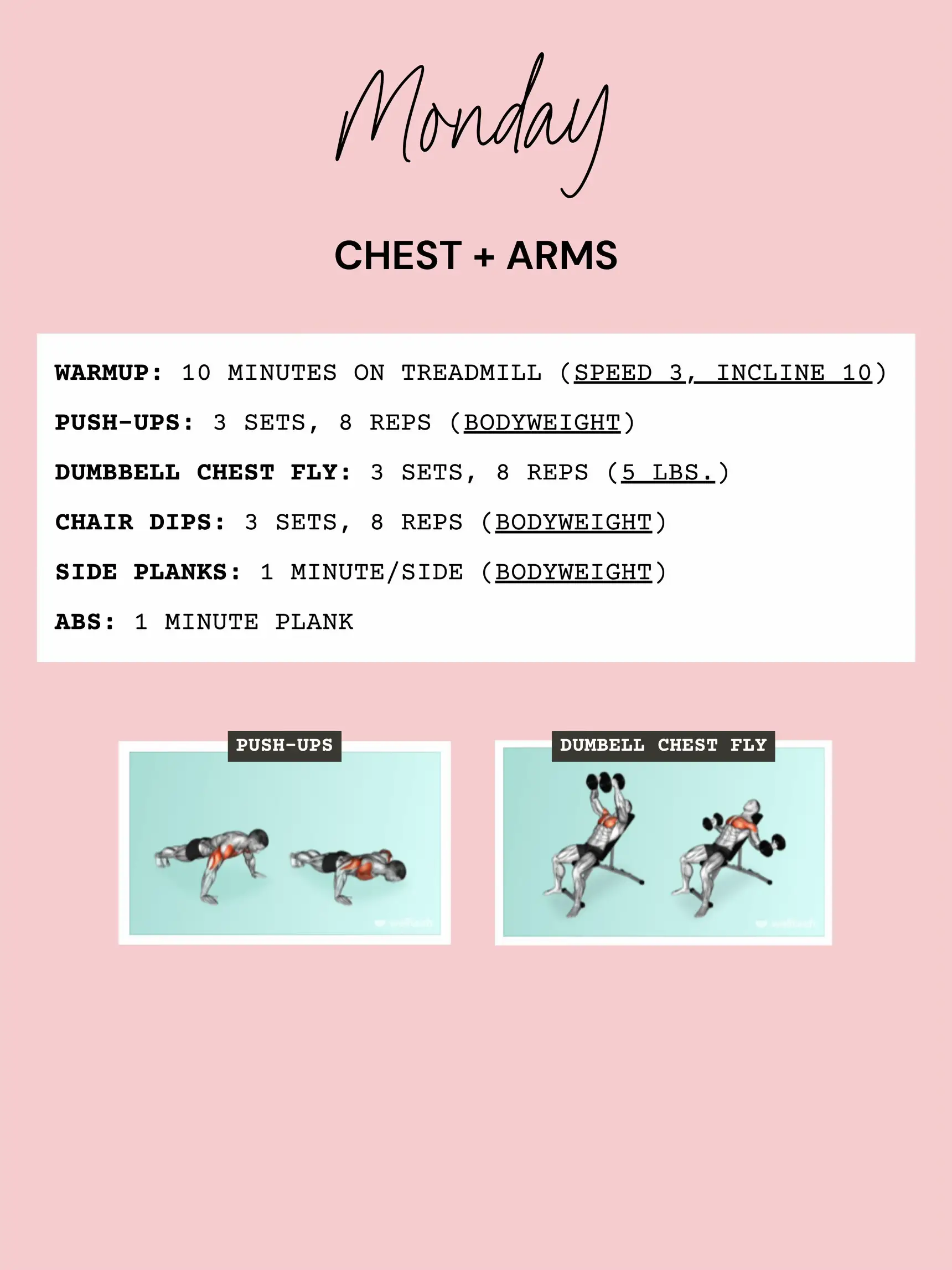 Chest and Bicep Workout to Feel the Pump  Welltech. Wellbeing and  Technology 