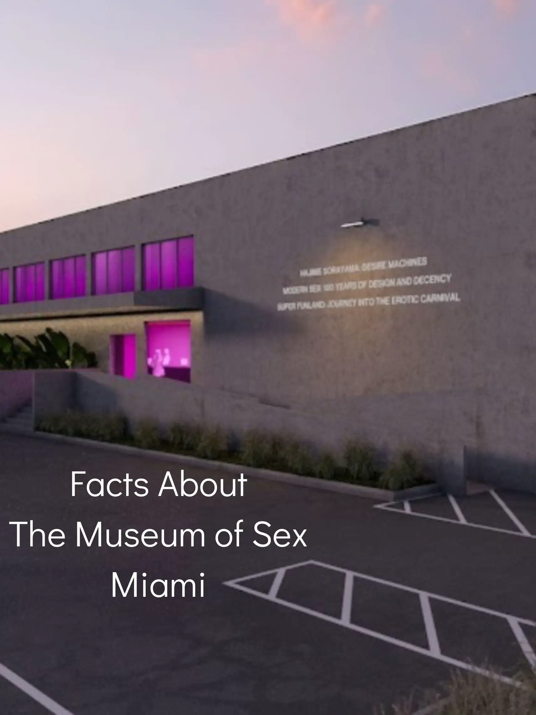 Facts About The Museum Of Sex Miami - Coming Soon | Gallery posted by