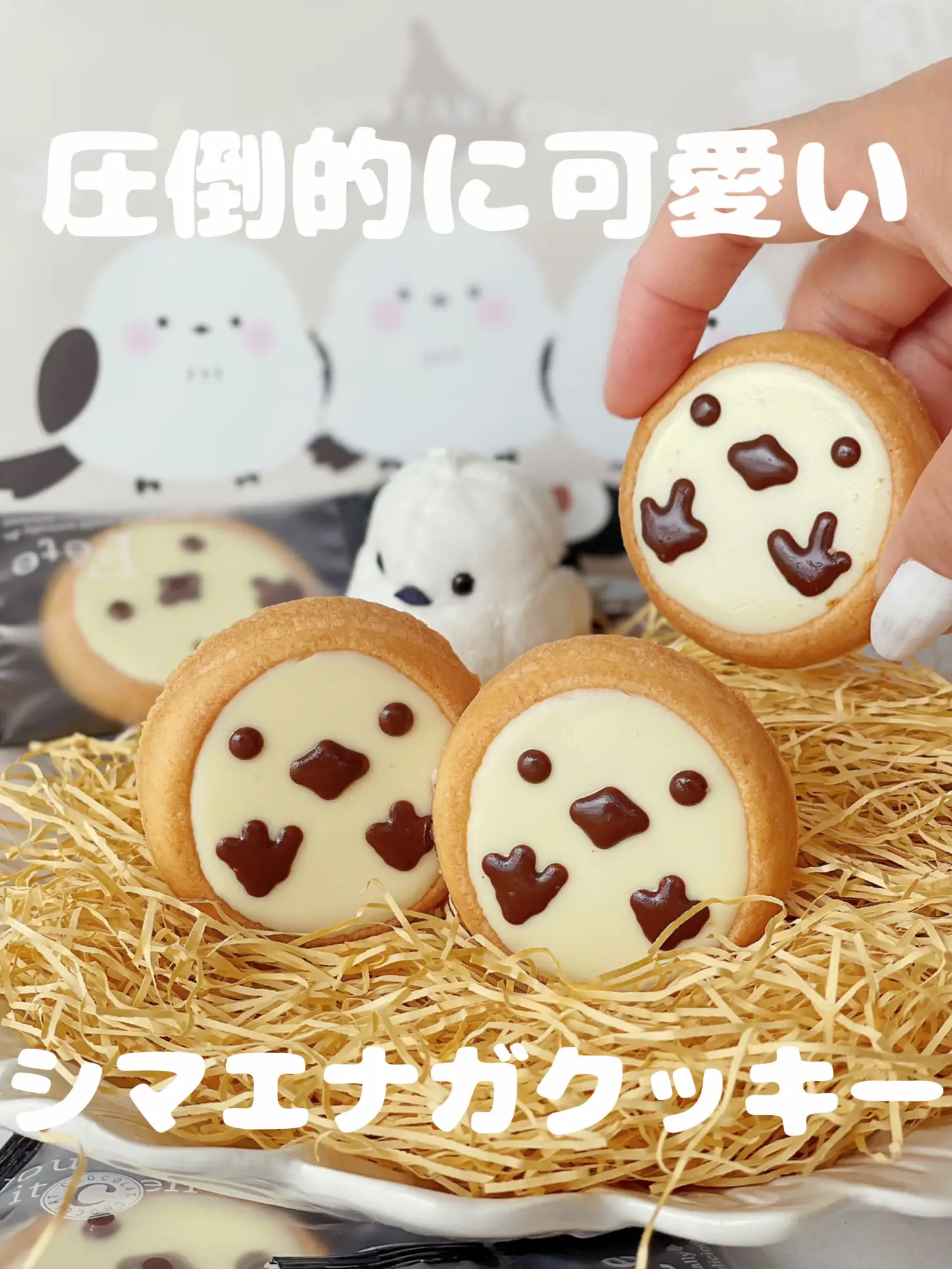 可愛くて食べられない⁉️／シマエナガのサクサクショコラクッキー🍪 | はまきり︱スイーツマニアが投稿したフォトブック | Lemon8