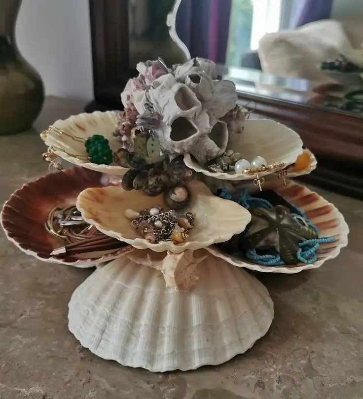 20 top Seashell Crafts for Interior Design ideas in 2024