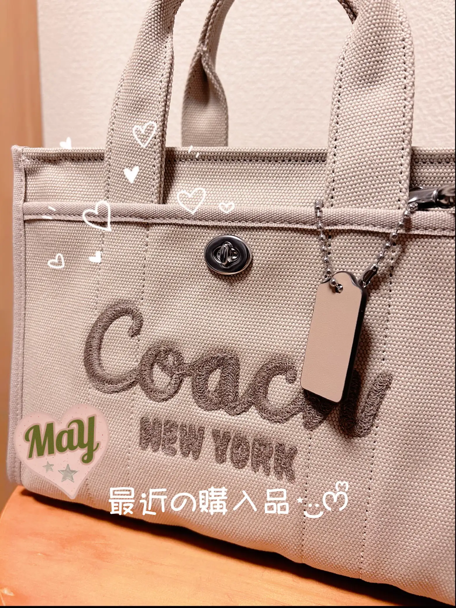 2024年のCoachバッグのアイデア30選