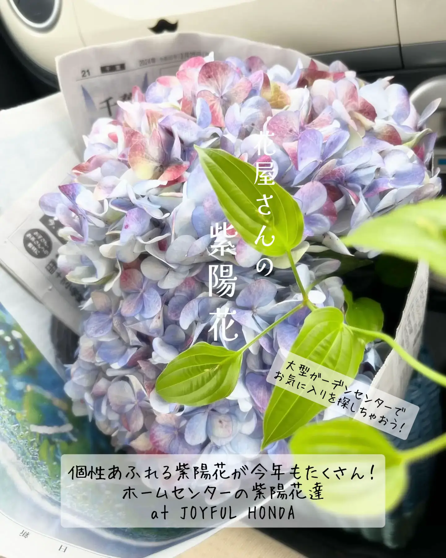 【単品不可オーダー用】三色紫陽花と二種のミニ蛙さんセット カッティングダイ 梅雨 単品不可オーダー用】三色紫陽花と二種のミニ蛙さんセット