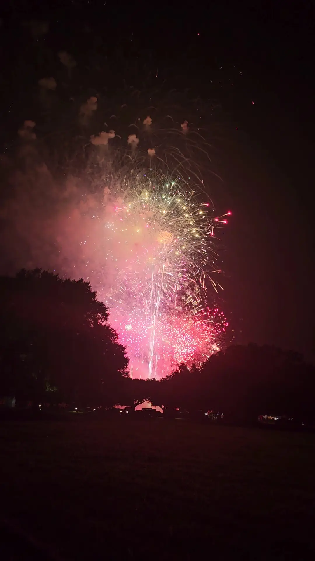 Fort Moore Independence Day Celebration Video published by tracy