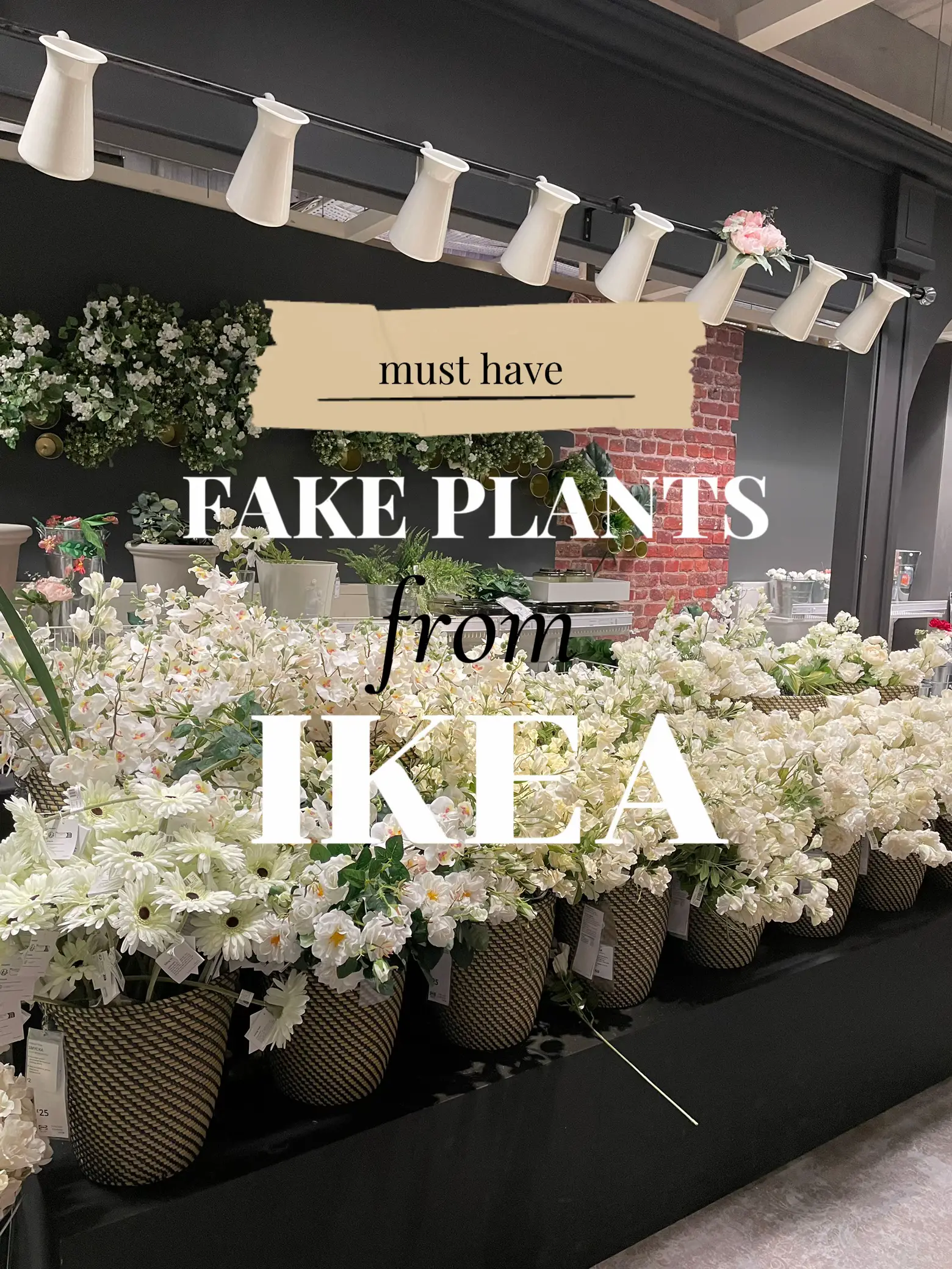 Must have fake plants from IKEA Gallery posted by woman.of.gold Lemon8