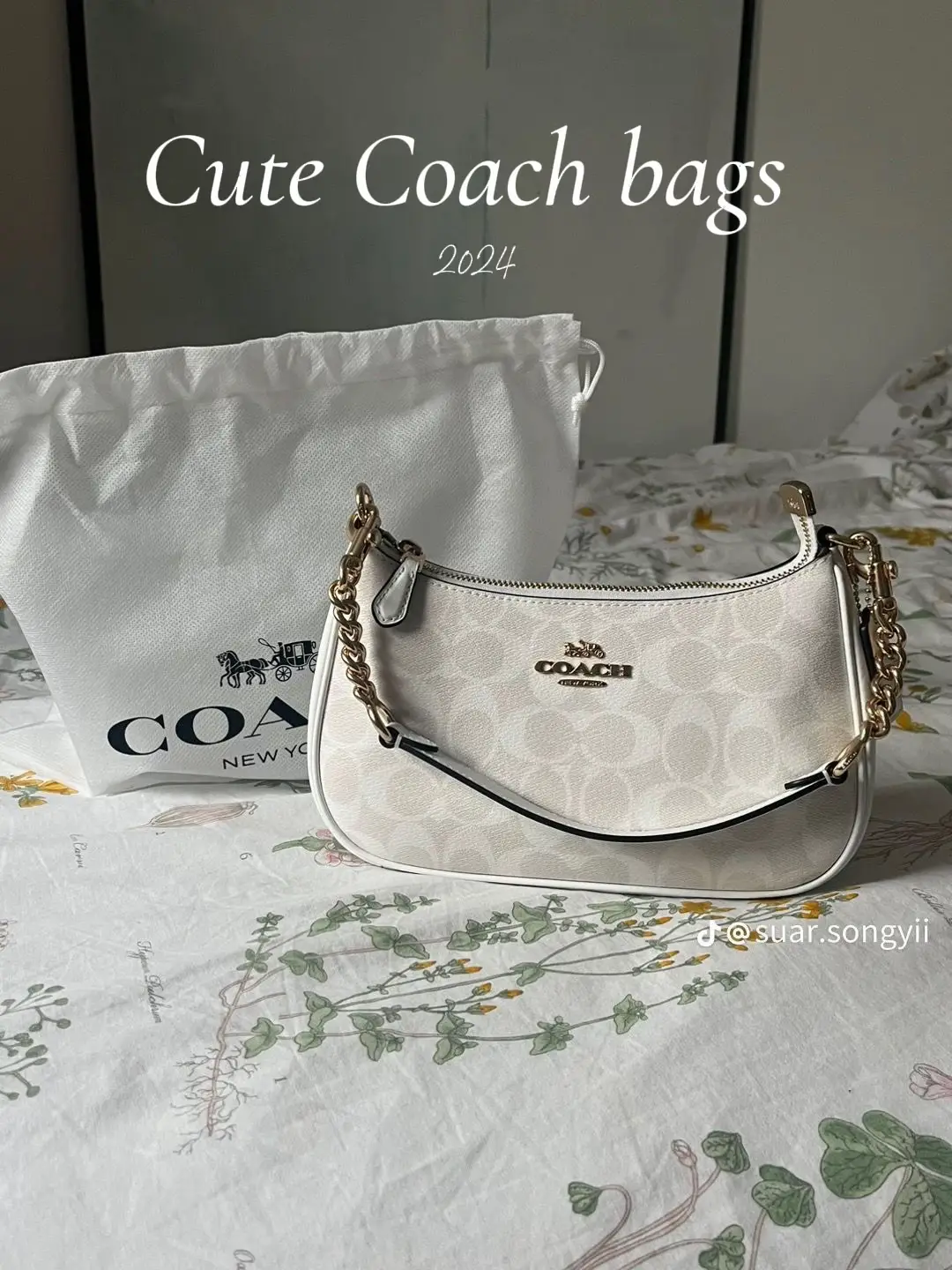 Cute coach discount bags