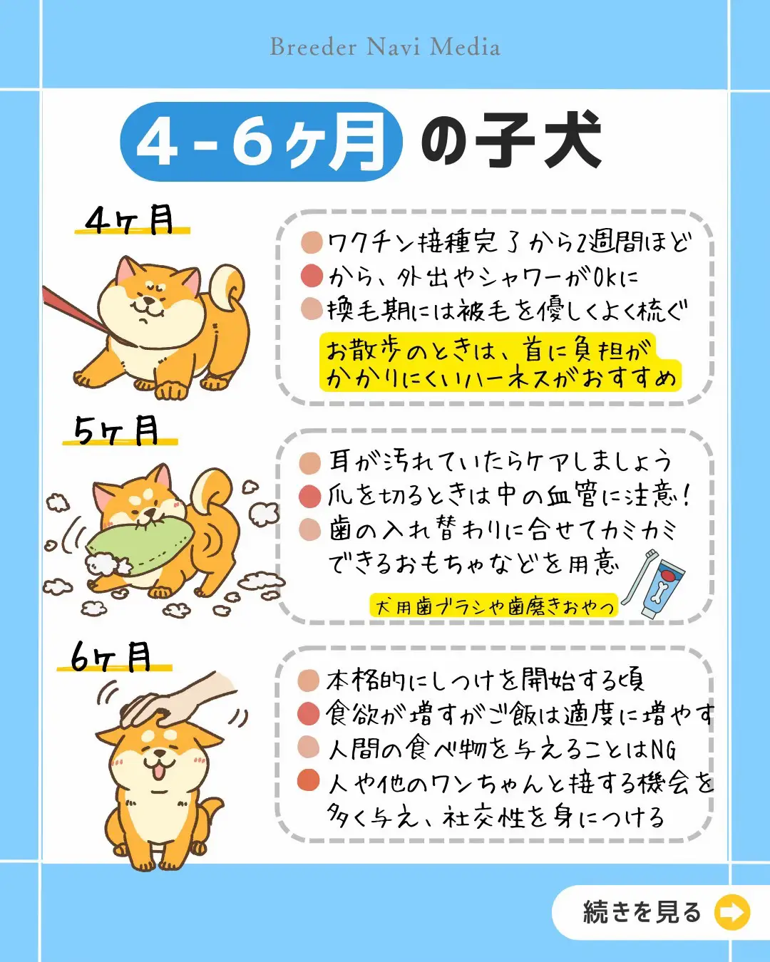 Dog Owner Guide Lemon8検索