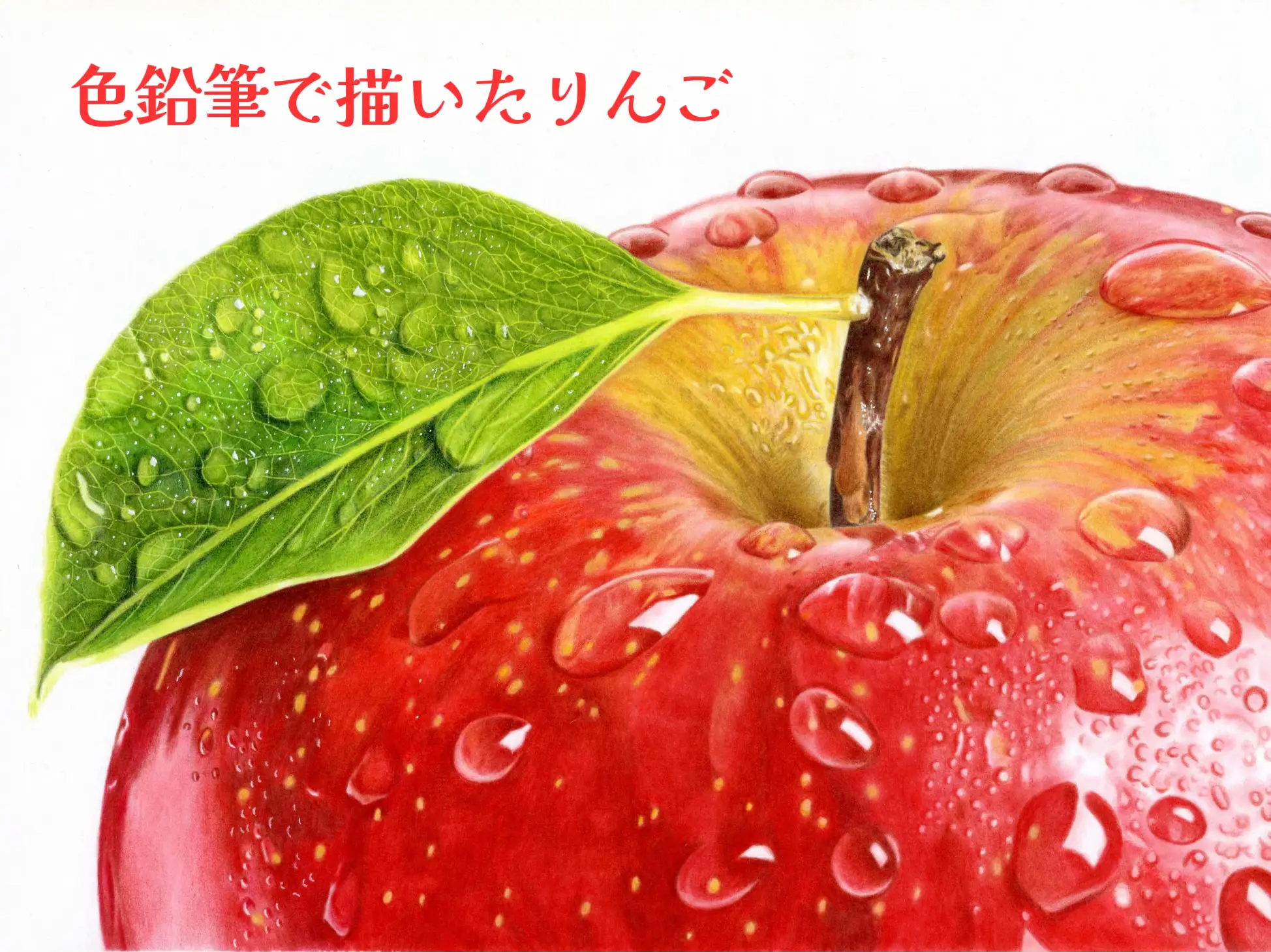 色鉛筆で描いたりんご🍎 | ここまるが投稿したフォトブック | Lemon8