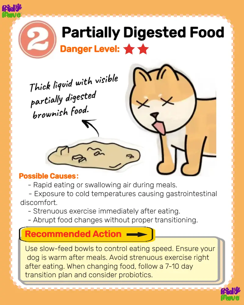 Dog vomiting partially digested food hotsell